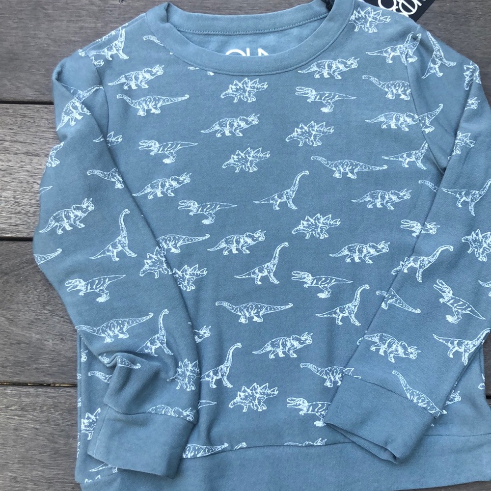 Chaser dinosaur sweatshirt